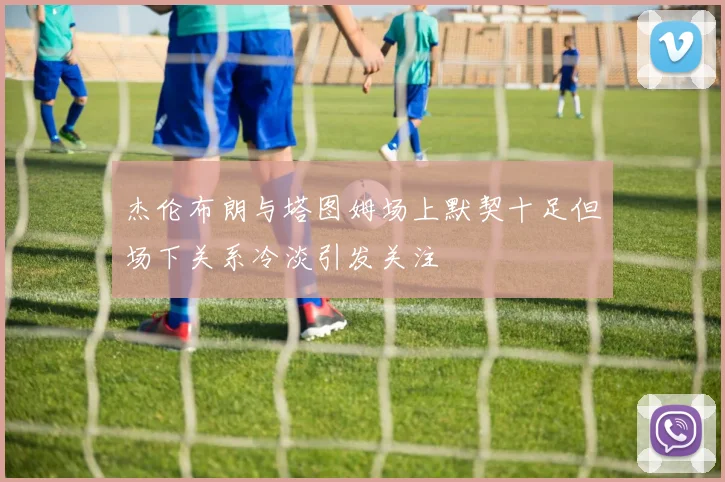 杰伦布朗与塔图姆场上默契十足但场下关系冷淡引发关注