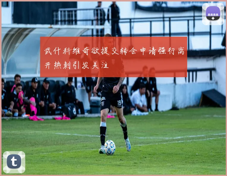 武什科维奇欲提交转会申请强行离开热刺引发关注