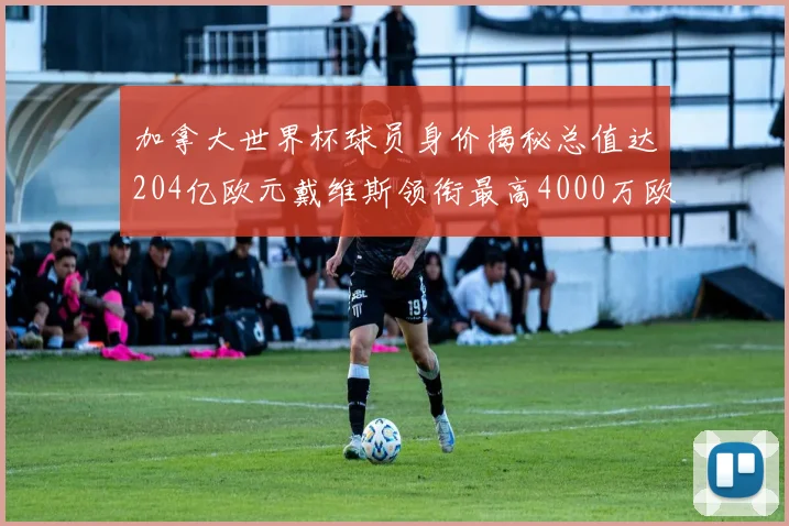 加拿大世界杯球员身价揭秘总值达204亿欧元戴维斯领衔最高4000万欧