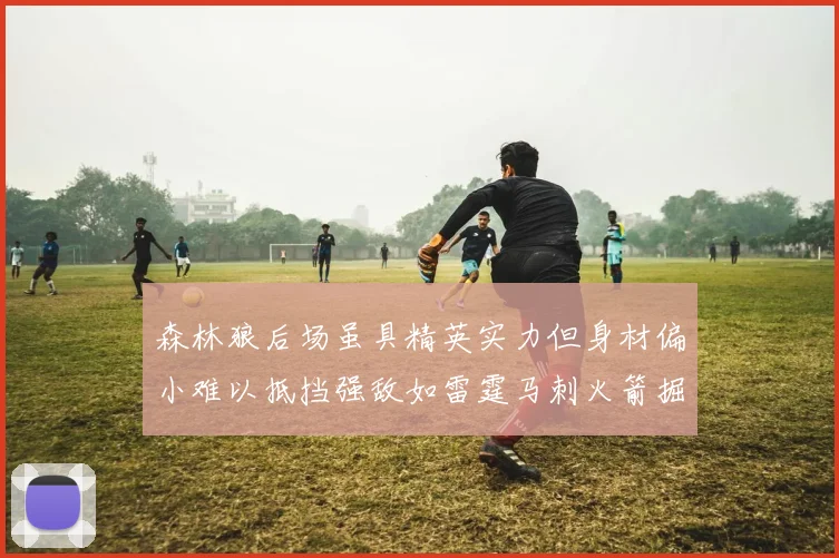 森林狼后场虽具精英实力但身材偏小难以抵挡强敌如雷霆马刺火箭掘金