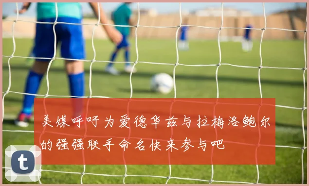 美媒呼吁为爱德华兹与拉梅洛鲍尔的强强联手命名快来参与吧